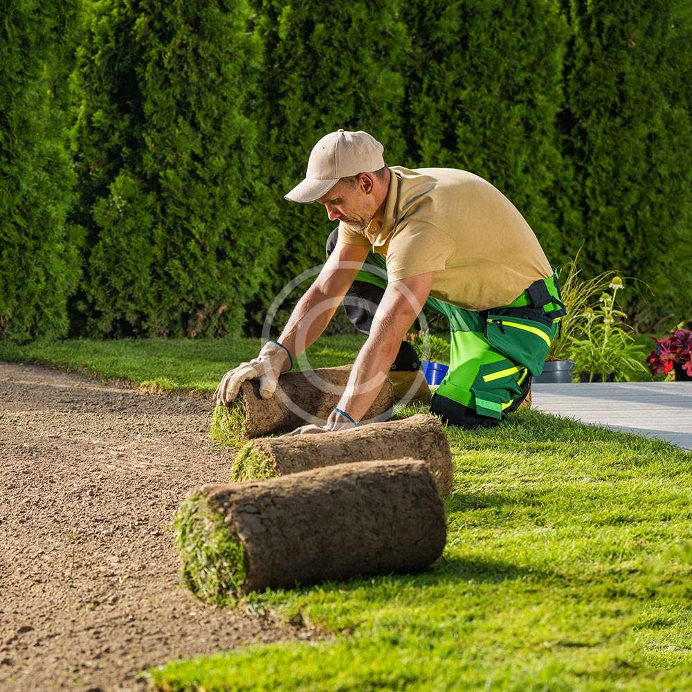 insta-image5-copyright